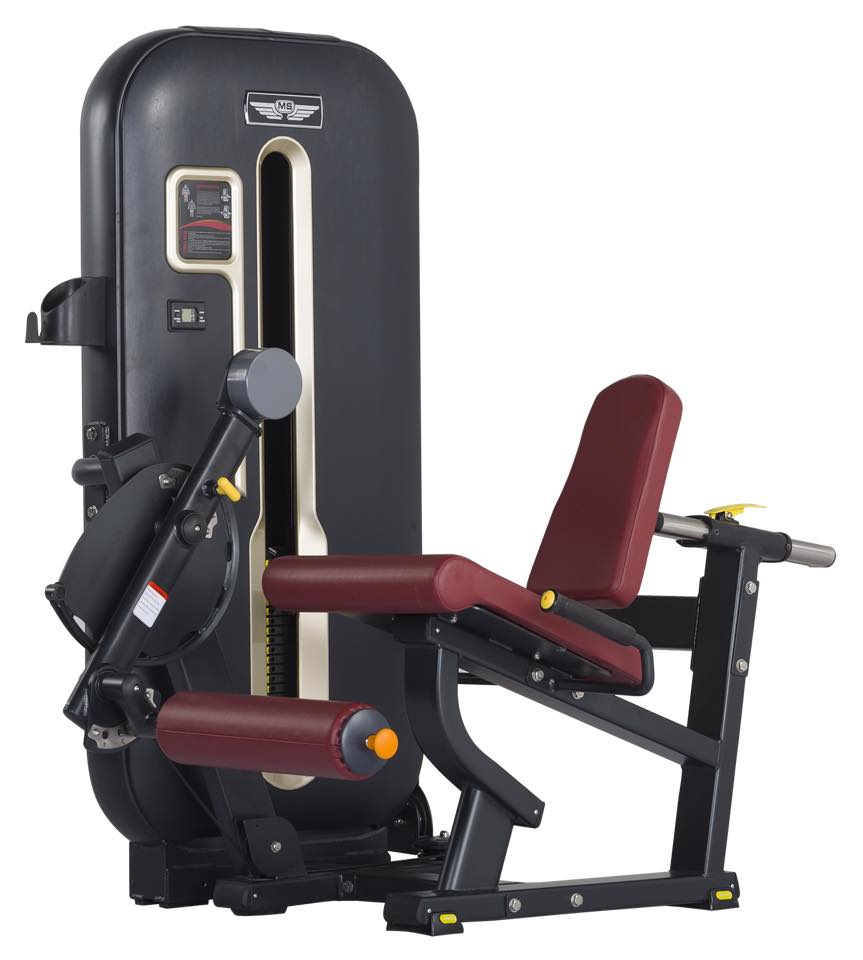 Imported Gym Equipment Manufacturer in India Syndicate Gym