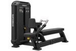 SEATED HORIZONTAL PULLEY - Image 4
