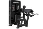 BICEPS CURL