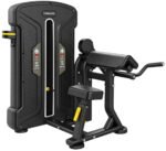 BICEPS CURL /   TRICEPS EXTENSION FS 04