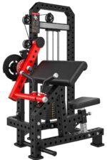 BICEPS +  TRICEPS - Image 2