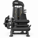 LEG CURL /  LEG EXTENSION GL 02