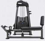 SEATED HORIZONTAL  PULLEY GL 10