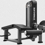 PRONE LEG CURL TS 14